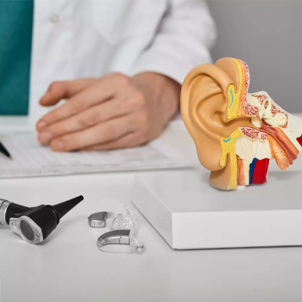 Audiologist writing and ear model